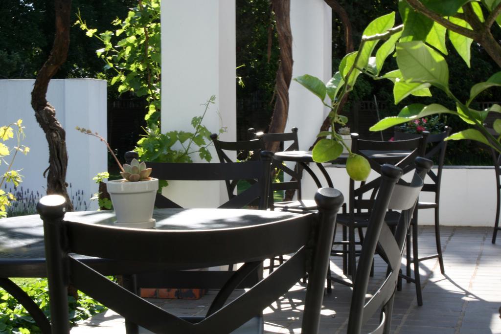 Lemon & Lime Guesthouse Bloemfontein Ngoại thất bức ảnh